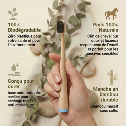 Brosses à dents naturelles en crin de cheval, manche en bambou – Lot de 4