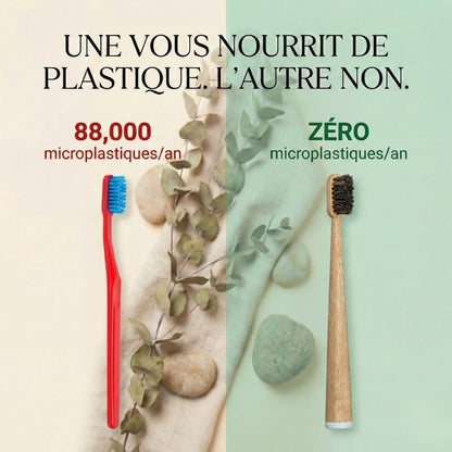 Brosses à dents naturelles en crin de cheval, manche en bambou – Lot de 4