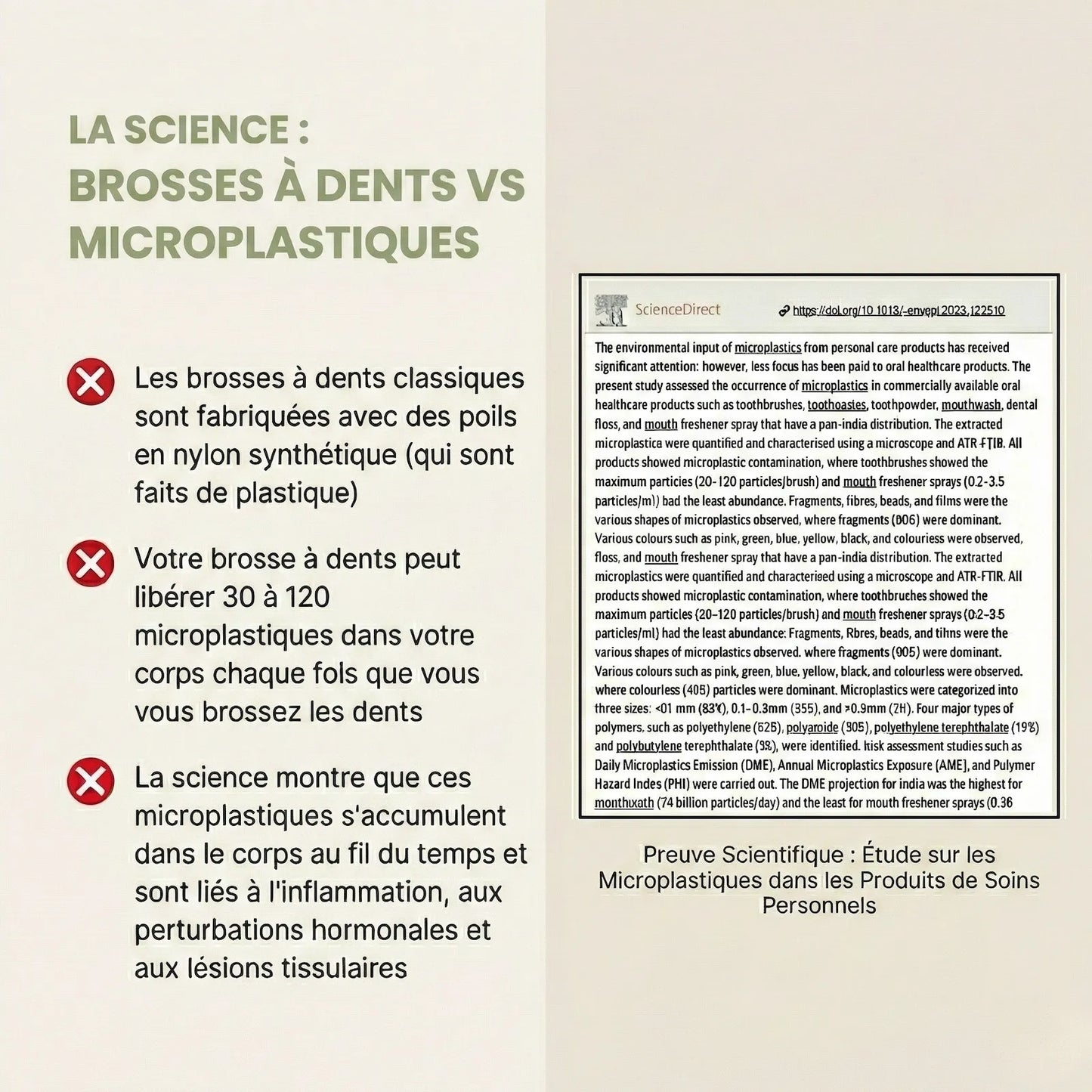 Brosses à dents naturelles en crin de cheval, manche en bambou – Lot de 4