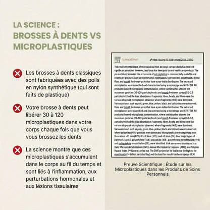 Brosses à dents naturelles en crin de cheval, manche en bambou – Lot de 4